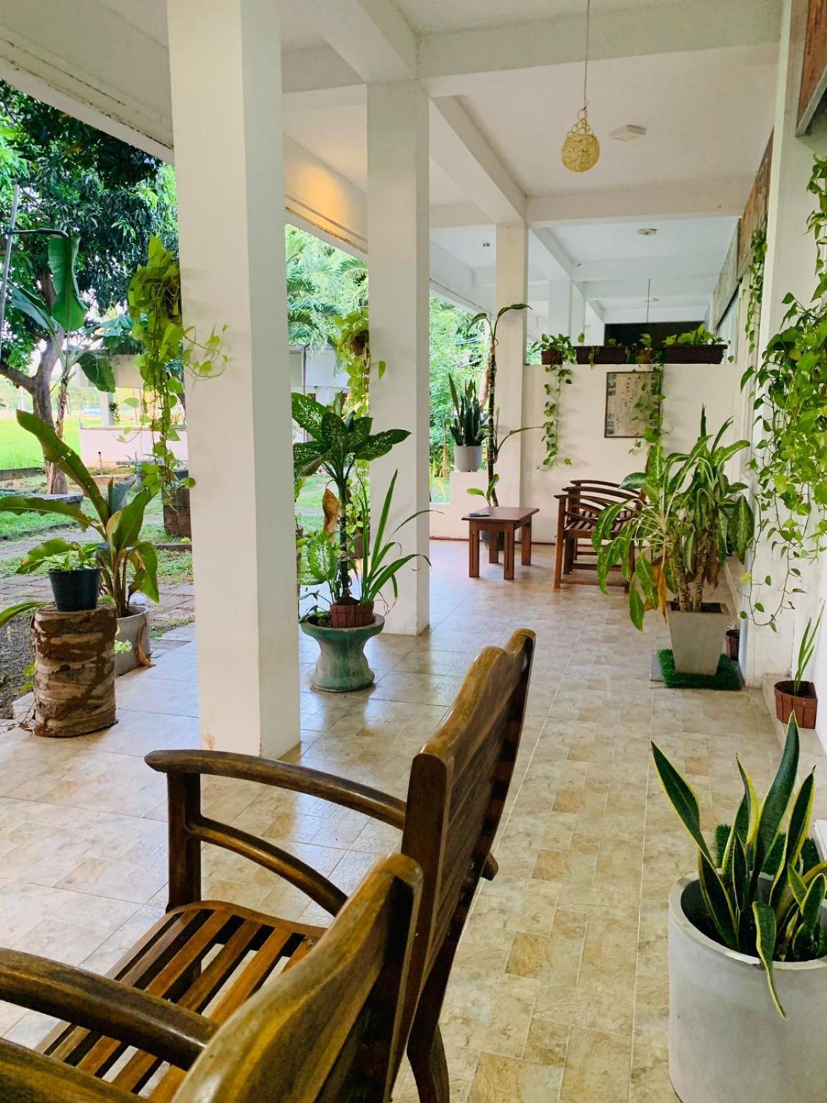 Thisara Guest House Polonnaruwa Exteriör bild